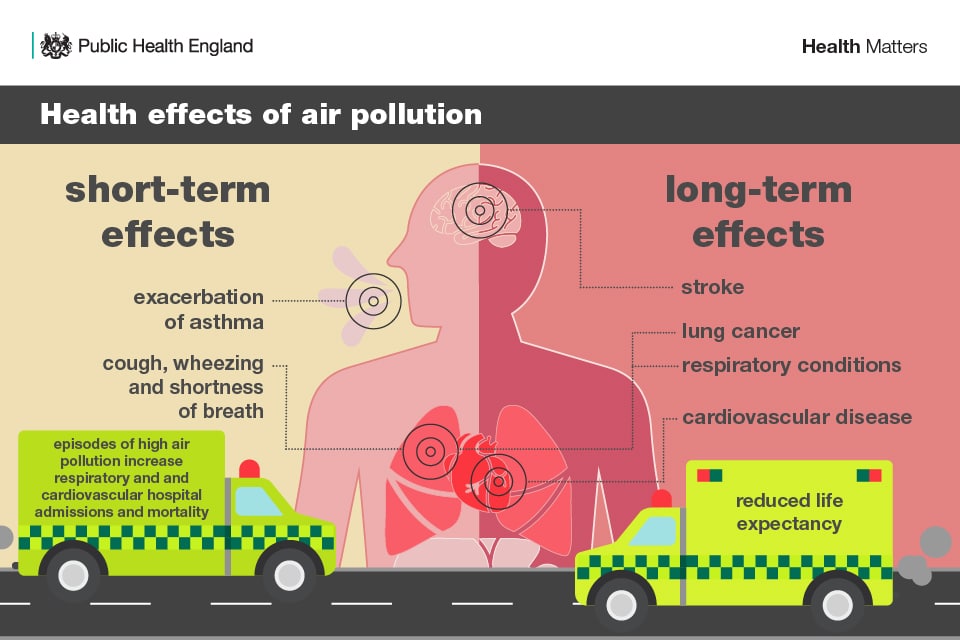 Health effects of air pollution.