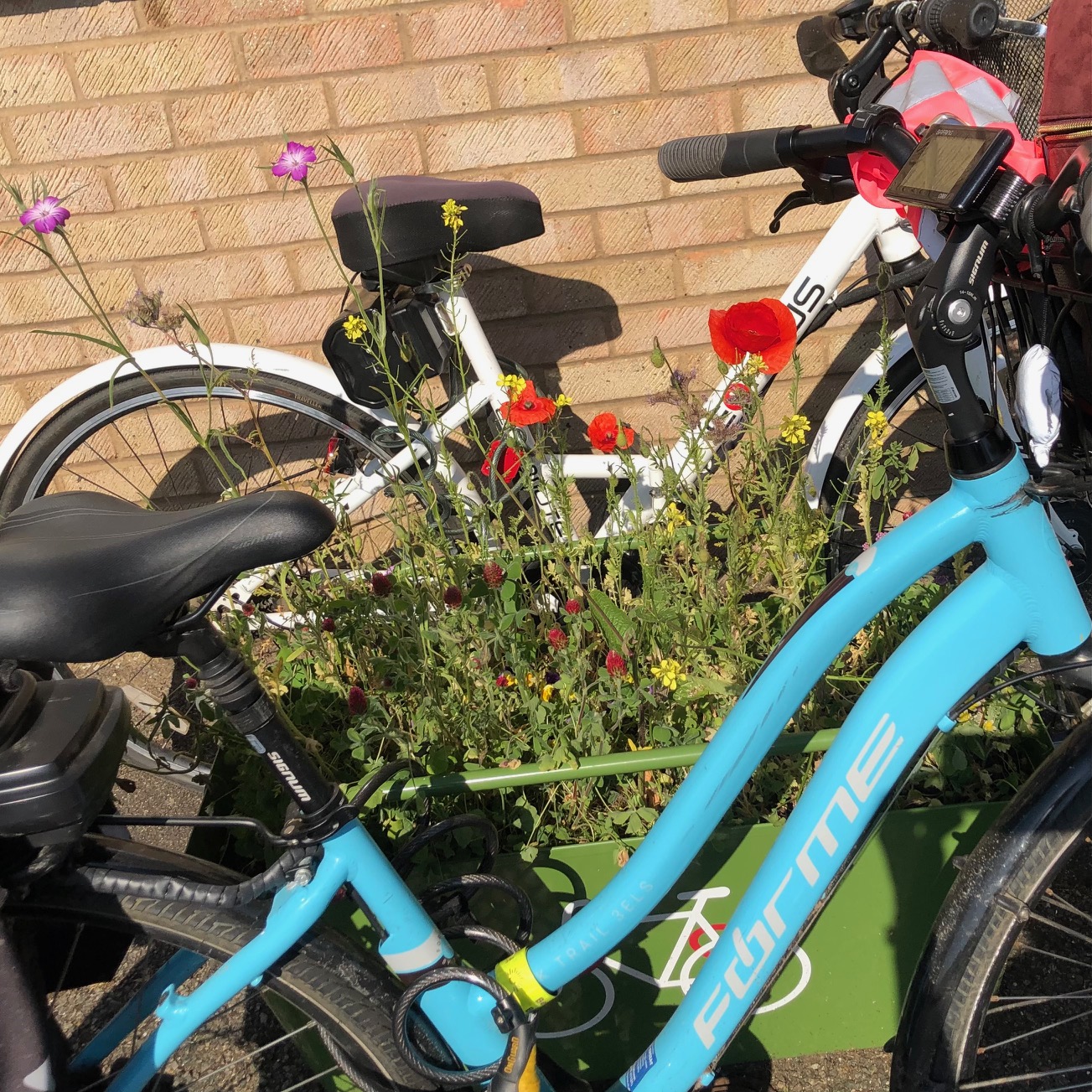 Planter Cycle rack filled with wild flowers and 2 Bikes locked up.