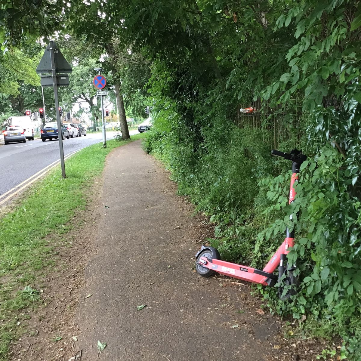 Voi Scooter parked against a bush