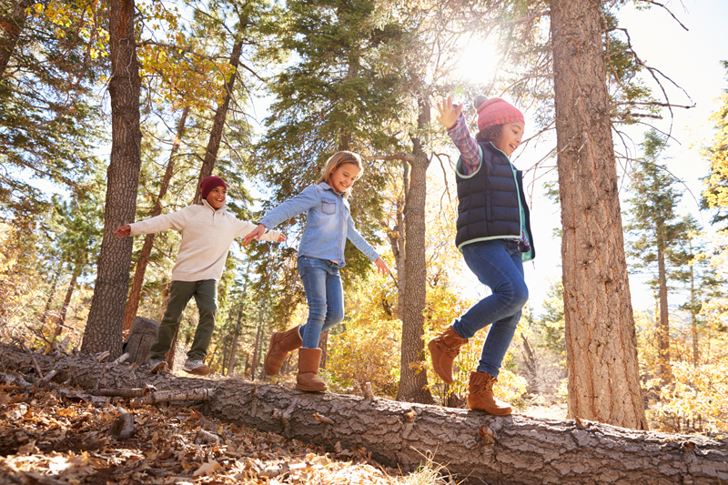 Kids walking through woods.