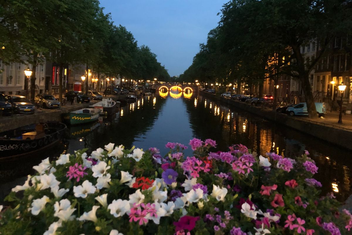 Holland Canal at Night with Flowers