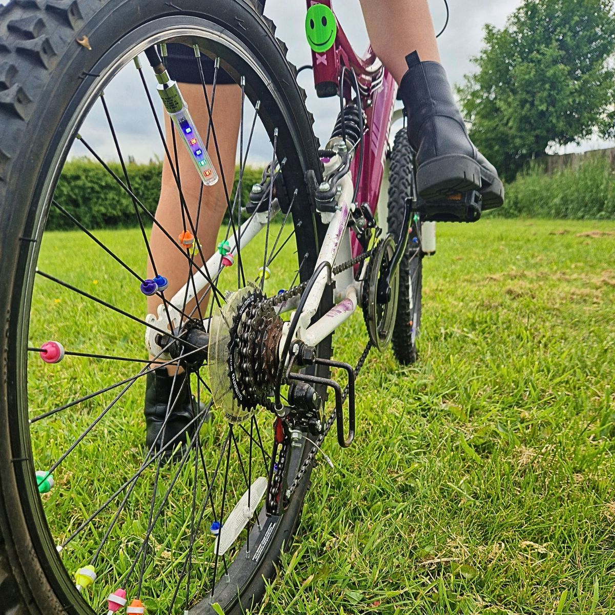 Spokie dokies on a bicycle
