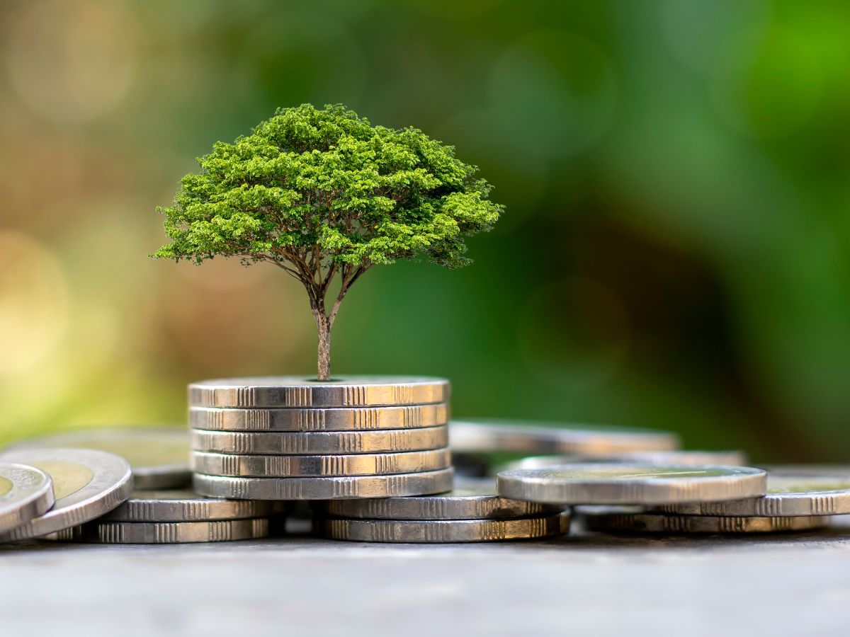 Coins with small tree coming out of them