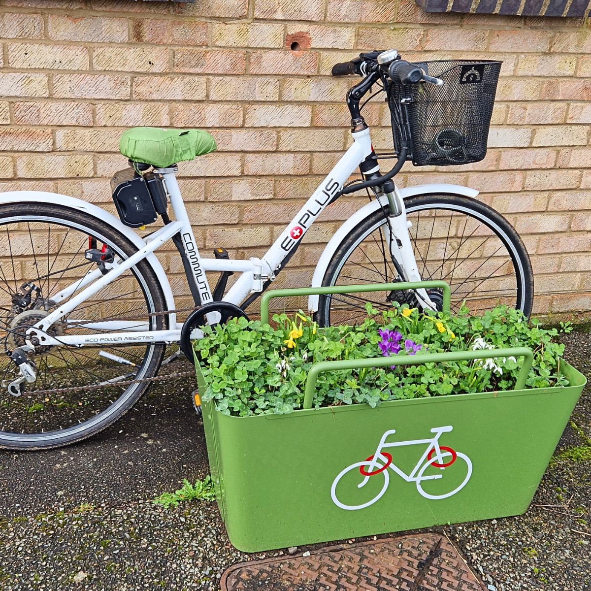 Cycle Planter with spring flowers in bloom