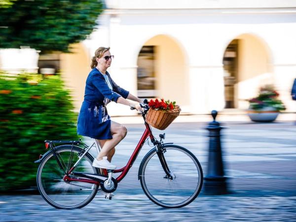 Woman on a bicycle.